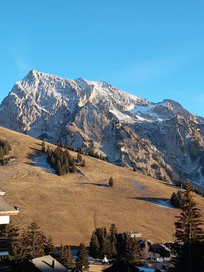 Appartement Au Coeur Des Aravis Manigod Dış mekan fotoğraf